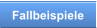 Fallbeispiele