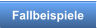 Fallbeispiele