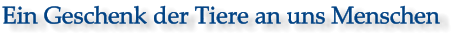 Ein Geschenk der Tiere an uns Menschen